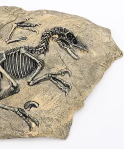 Life Easy Supply Antique Resin Dinosaur Fossil Wall Hanging Decoration Other Products