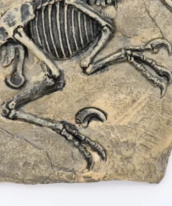 Life Easy Supply Antique Resin Dinosaur Fossil Wall Hanging Decoration Other Products