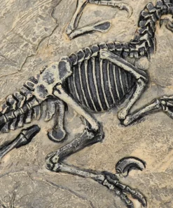 Life Easy Supply Antique Resin Dinosaur Fossil Wall Hanging Decoration Other Products