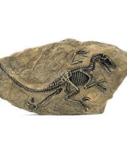 Life Easy Supply Antique Resin Dinosaur Fossil Wall Hanging Decoration Other Products