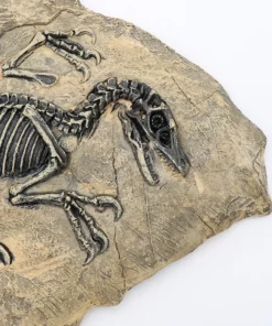 Life Easy Supply Antique Resin Dinosaur Fossil Wall Hanging Decoration Other Products